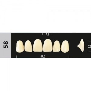 Зубы Major C4 58, 28 шт (Super Lux) st509149 - фото 484815