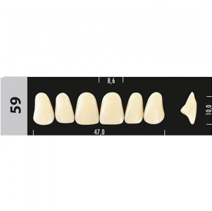 Зубы Major B4 59, 28 шт (Super Lux) st605643 - фото 484819