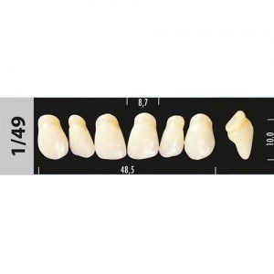 Зубы Major C3 1/49, 28 шт (Super Lux) st524608 - фото 484825
