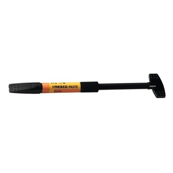 Дентинная масса SR Nexco Paste Dentin в шприце по 2,5 г, цвет BL4. 640423 - фото 485692