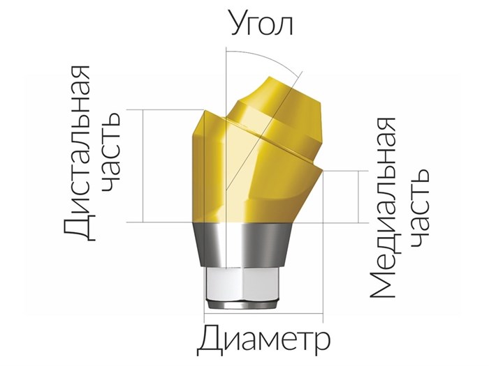 ASA45302018H  Винтовой угловой абатмент, диаметр 4.5 мм, Dentium (Ю.Корея) ASA45302018H - фото 499934