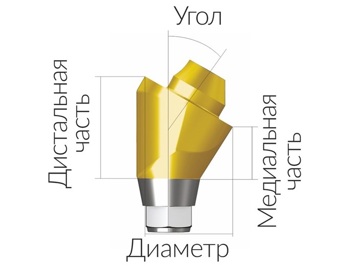 ASA55153018N  Винтовой угловой абатмент без шестигранника, диаметр 5.5 мм, Dentium (Ю.Корея) ASA55153018N - фото 499955
