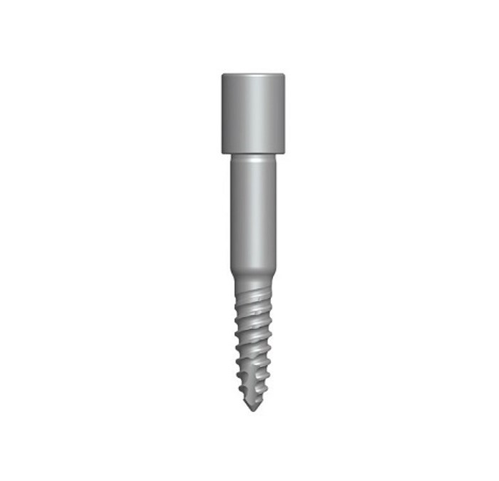 DGAS06 Фиксирующий винт 15 мм DGAS06, Dentium (Ю.Корея) DGAS06 - фото 500336