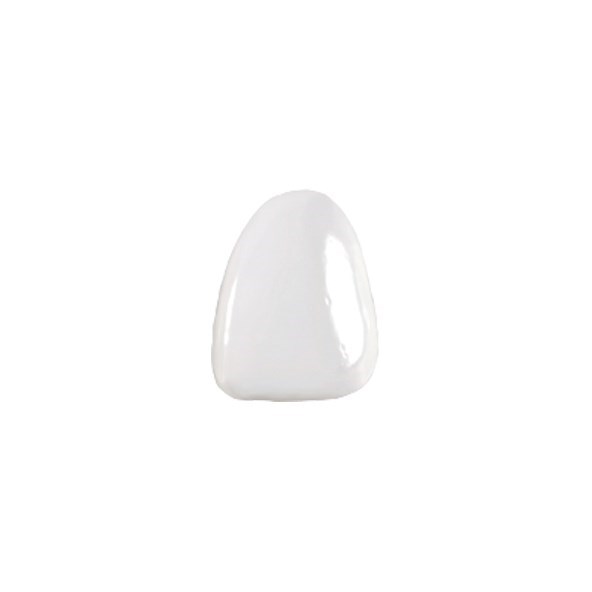 Componeer Set upper - виниры для верхней челюсти (22), размер XL, цвет BL/O (Dentin Bleach Opaque), 2 шт 60014521 - фото 501740