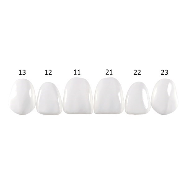 Componeer Set upper - гарнитур виниров для верхней челюсти (11, 12, 13, 21, 22, 23), размер M, цвет BL/O (Dentin Bleach Opaque), 6 шт 60014500 - фото 501837