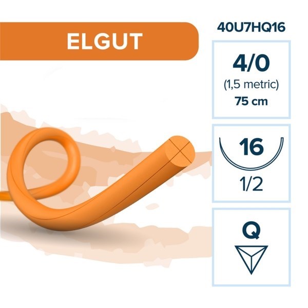 Кетгут ELGUT —  рассасывающаяся нить, 1/2, обратно-режущая игла 16 мм, толщина 4/0 (2), 75 см, 12 шт 40U7HQ16 - фото 503760