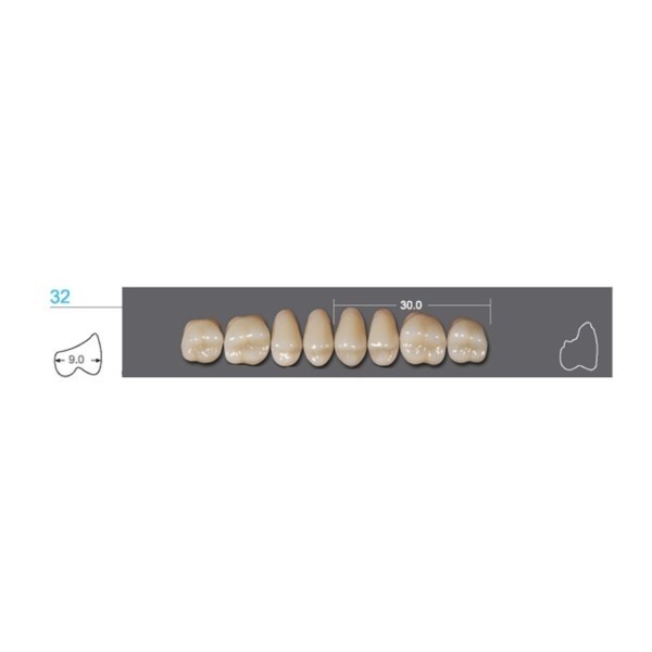 Kaifeng - зубы акриловые 8*1/ A2, 32U (1 планка) A232U_Kaifeng - фото 514599