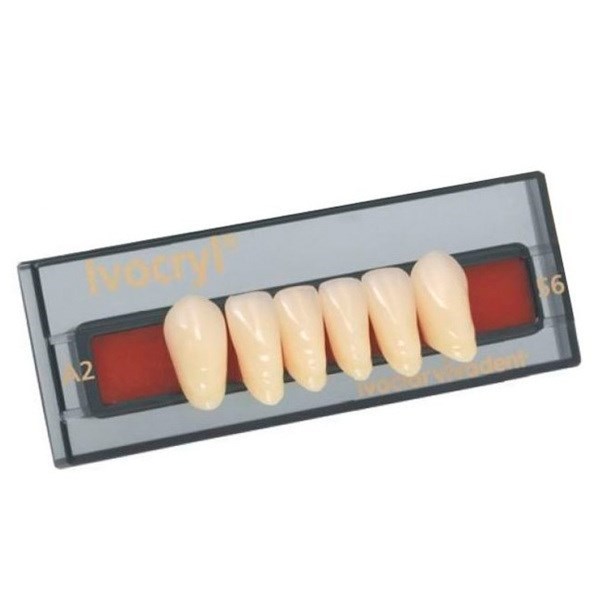 Ivocryl Set - набор фронтальных пластмассовых зубов, 6 шт 539460 - фото 514732