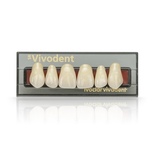 SR Vivodent Set - набор фронтальных зубов, 6 шт 540260 - фото 514751