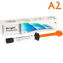 Bright Posterior цв.А2 шпр. 4г-композит типа bulk fil" для жевательных зубор, DMP 1231912833