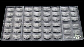 Модуль Exocad Tooth Library. Дополнительная библиотека естественных зубов ToothLibrary