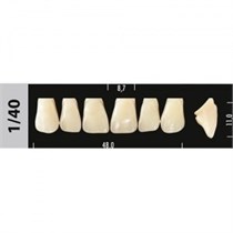 Зубы Major C1  1/40 фронтальный верх, 6 шт (Super Lux) st586406