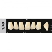 Зубы Major C1 1/40, 28 шт (Super Lux) st481372
