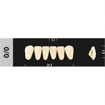 Зубы Major D4 0/0 фронтальный низ, 6 шт (Super Lux) st226017