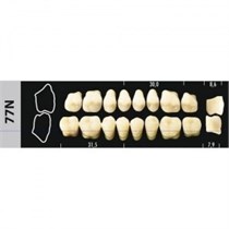 Зубы Major D4 77N жевательный верх, 8 шт (Super Lux) st498616
