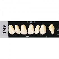 Зубы Major D4 1/49, 28 шт (Super Lux) st623156