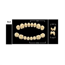 Зубы Yeti A3,5 SLA жевательный верх (Tribos) 8 шт. 22004