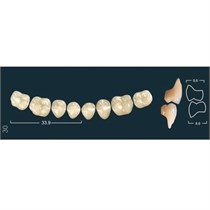 Ivocryl Set A-D - набор боковых нижних зубов, LUK30 A2, 8 шт 631005