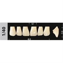 Зубы Major D4 1/40, 28 шт (Super Lux) st645625