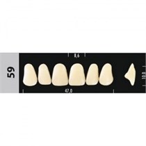 Зубы Major D4 59, 28 шт (Super Lux) st364990