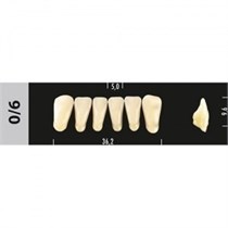 Зубы Major C1 0/6 фронтальный низ, 6 шт (Super Lux) st289981