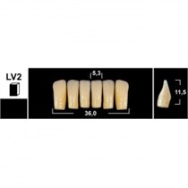 Зубы Yeti BL3 LV2 фронтальный низ (Tribos) 6 шт. 25517