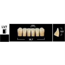Зубы Yeti BL3 LV7 фронтальный низ (Tribos) 6 шт. 27117