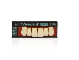 Зубы SR Vivodent S DCL Набор из 6 зубов Chromascop фронт.низ L A7 A1 685555