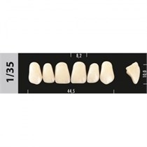 Зубы Major D2  1/35 фронтальный верх, 6 шт (Super Lux) st51231