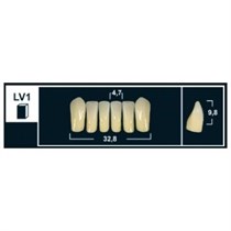 Зубы Yeti D4 LV1 фронтальный низ (Tribos) 6 шт. 25716