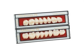 Зубы SR Orthotyp PE Набор из 8 зубов Chromascop жеват.верх. N6 1A. 522828