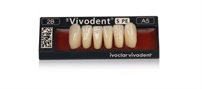 Зубы SR Vivodent PE Набор из 6 зубов Chromascop фронт.низ. A8 2A. 505201