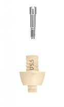 Временный овальный абатмент (с винтом для EsthetiCap) FRIADENT EsthetiCap oval, размеры: D5.5, арт: 46-1760 46-1760