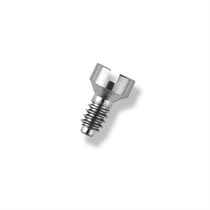 Винт для колпачка  FRIADENT МР Coping Screw, арт: 46-4200 46-4200