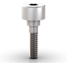 Винт лабораторный Neo Working Screw One Step Hybrid Mini Conical Abutment, размер: 4.1 мм 116.271