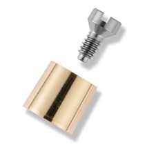 Колпачек (с винтом для колпачка)  XiVE TG Gold Bar Coping with Guide Pin D3.4-D4.5, арт: 25-4240 25-4240
