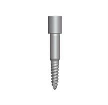 DGAS06 Фиксирующий винт 15 мм DGAS06, Dentium (Ю.Корея) DGAS06