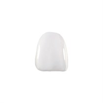Componeer Set upper - виниры для верхней челюсти (11), размер L, цвет W/O (Enamel White Opalescent), 1333