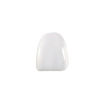 Componeer Set upper - виниры для верхней челюсти (21), размер M, цвет BL/O, 2 шт 60014506