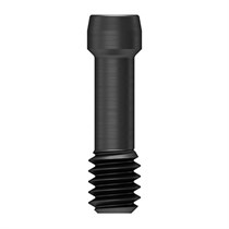 Ebony Gold - винт для абатмента Multi Angled, Standart GSMABSS