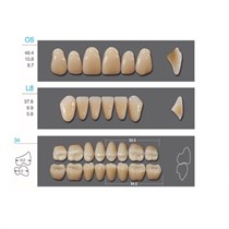 Kaifeng - зубы акриловые, верхние O5, овальные, цвет A2, коробка 4х28шт A2O5/L8/34_Kaifeng