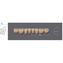 Kaili - зубы акриловые 8*1/ A2, 32L (1 планка) A232L_Kaili