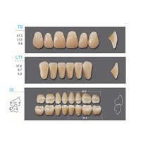 Kaifeng - зубы акриловые, верхние T9, цвет C2, коробка 4х28 шт C2T9/L11/32_Kaifeng