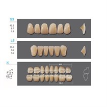 Kaifeng - зубы акриловые, верхние S3, цвет C4, коробка 4х28 шт C4S3/L5/30_Kaifeng