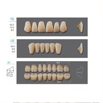 Kaili - зубы акриловые, верхние T6/нижние L6, цвет A4, размер 32, коробка 4х28 шт A4T6/L6/32_Kaili