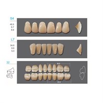 Kaifeng - зубы акриловые, верхние S4, цвет D2, коробка 4х28 шт D2S4/L7/32_Kaifeng