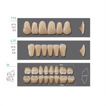Kaifeng - зубы акриловые, верхние T11, цвет B3, коробка 4х28 шт B3T11/L11/34_Kaifeng