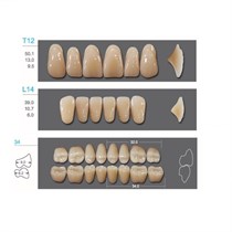 Kaifeng - зубы акриловые, верхние T12, цвет B3, коробка 4х28 шт B3T12/L14/34_Kaifeng