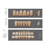 Kaifeng - зубы акриловые, верхние T4, цвет B3, коробка 4х28 шт B3T4/L6/32_Kaifeng