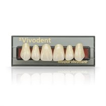 SR Vivodent Set - набор фронтальных зубов, 6 шт 540260